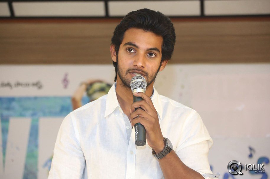 Pyaar-Mein-Padipoyane-Movie-Success-Meet